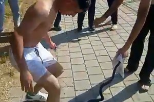 Adana’da gençler yılanı öldürdü!
