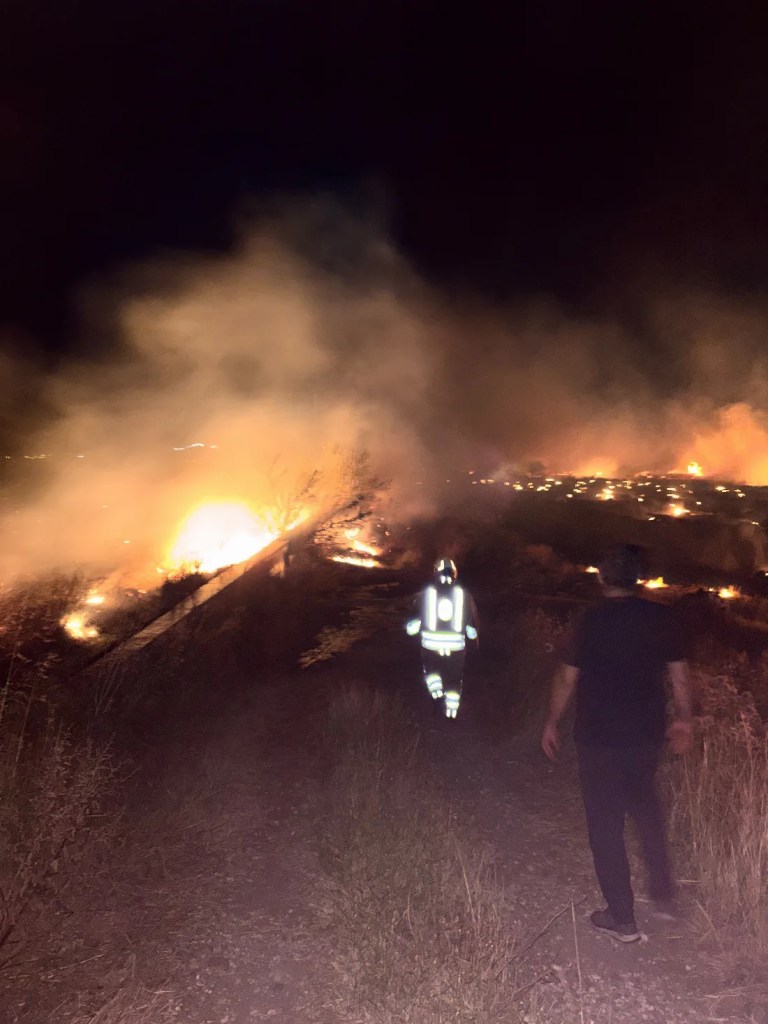 Hatay’da anız yangını zeytin bahçelerini vurdu!
