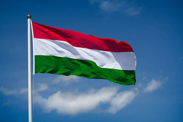 Macaristan'da otoyolda feci kaza!