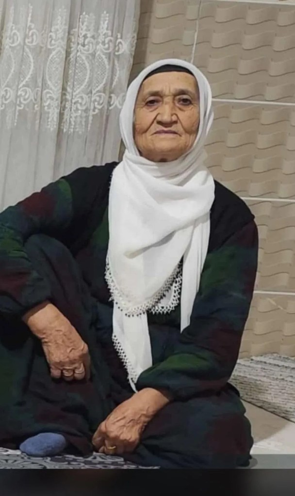 Kızıltepe'de balkonda vurulan kadın hayatını kaybetti!