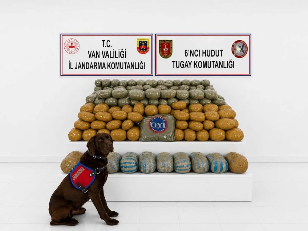 Van'da 291 Kilo Esrar Operasyonu!